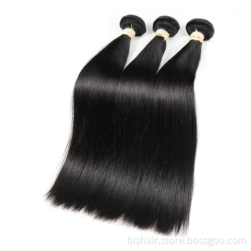 BIS Silk straight wave the length 8 to 28inches remy hair bundles raw virgin human free sample Brazilian cuticle aligned hair